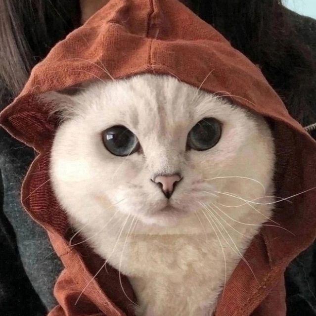 ME7T