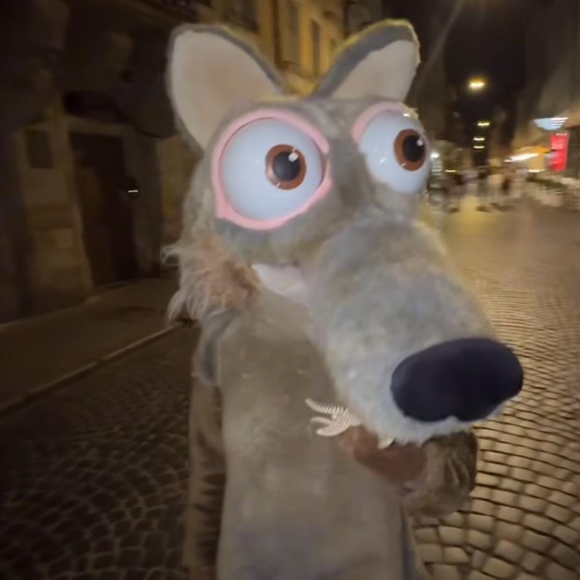 Mortyfi avatar