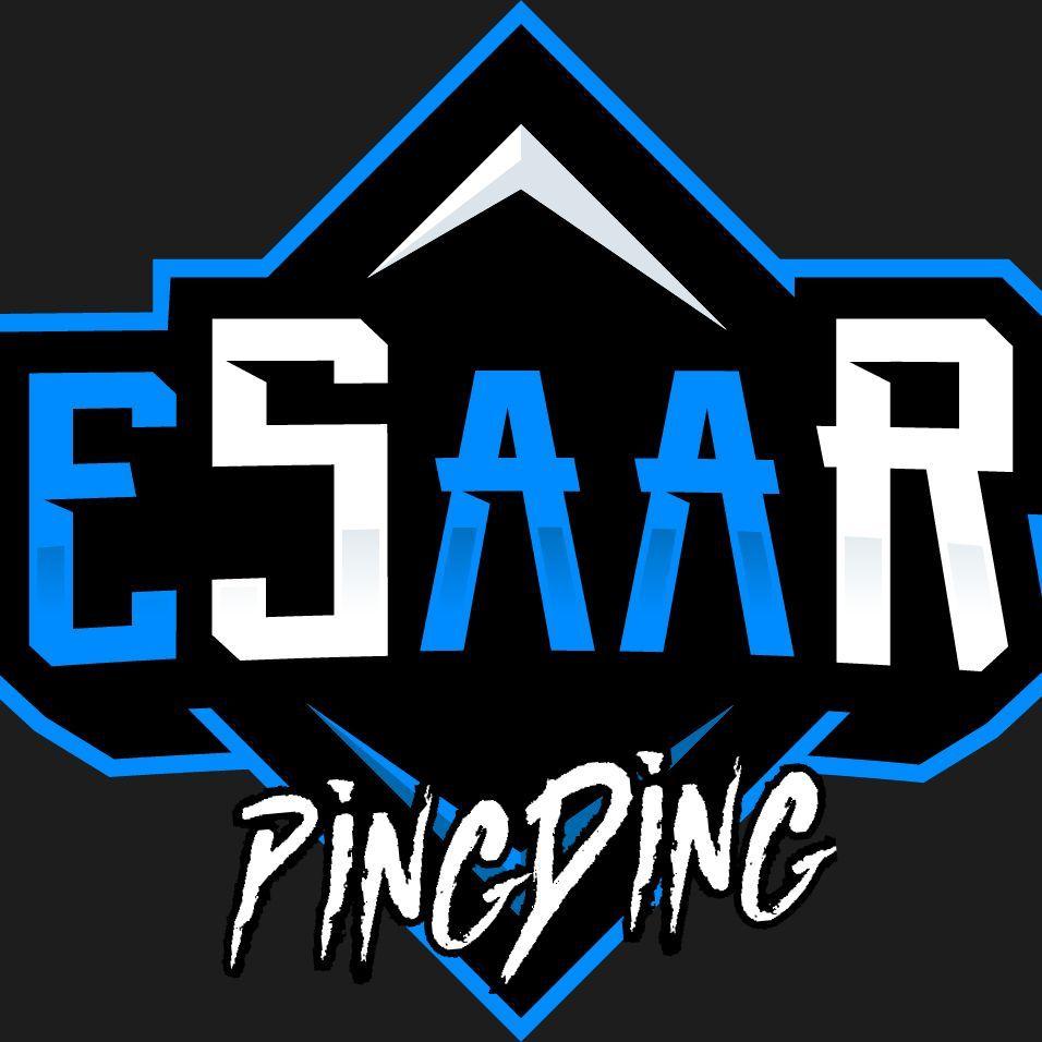 PingDing01 avatar