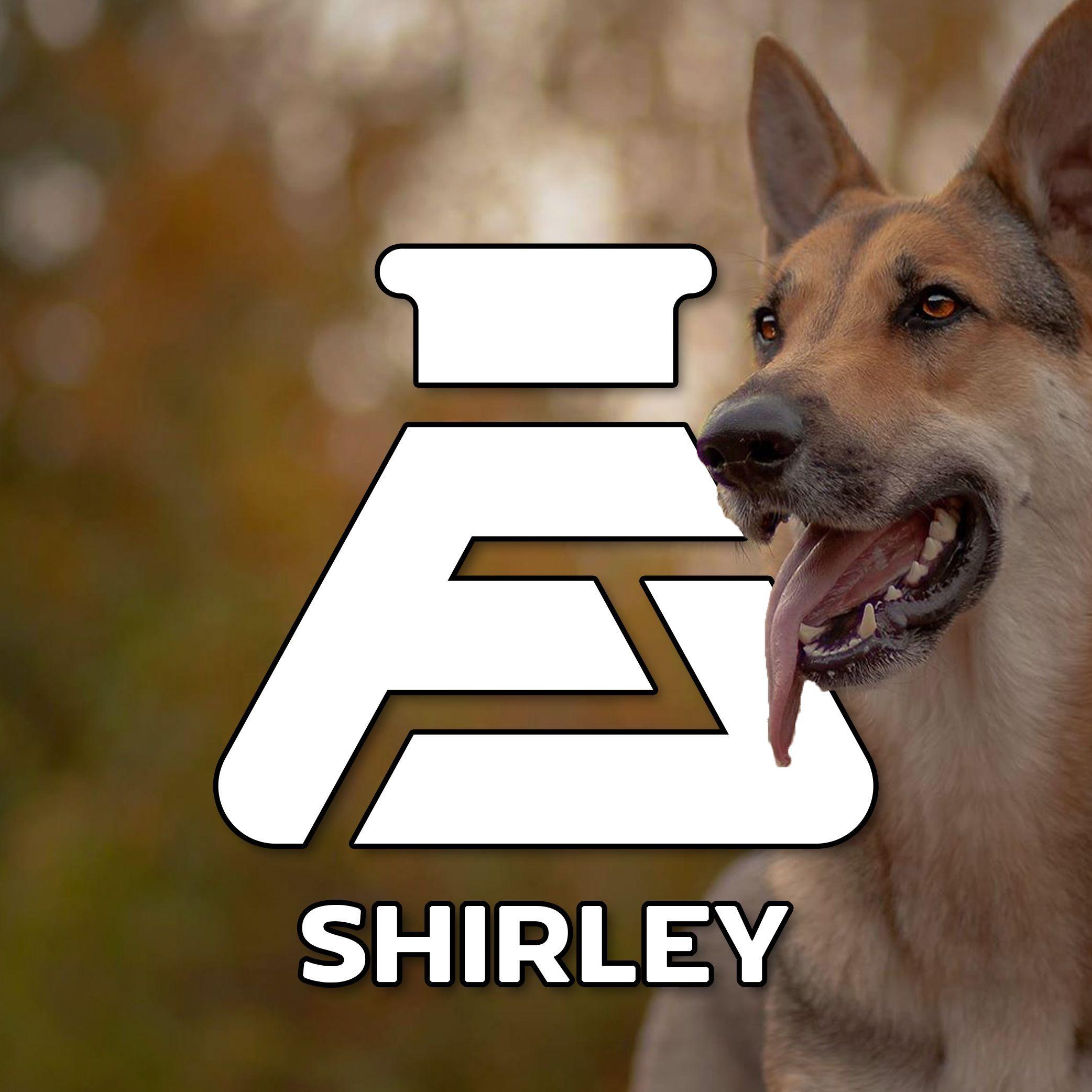 Shirleyx avatar