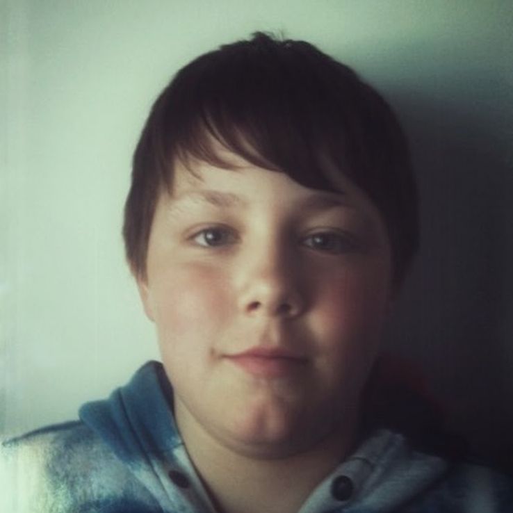 Blohvis avatar