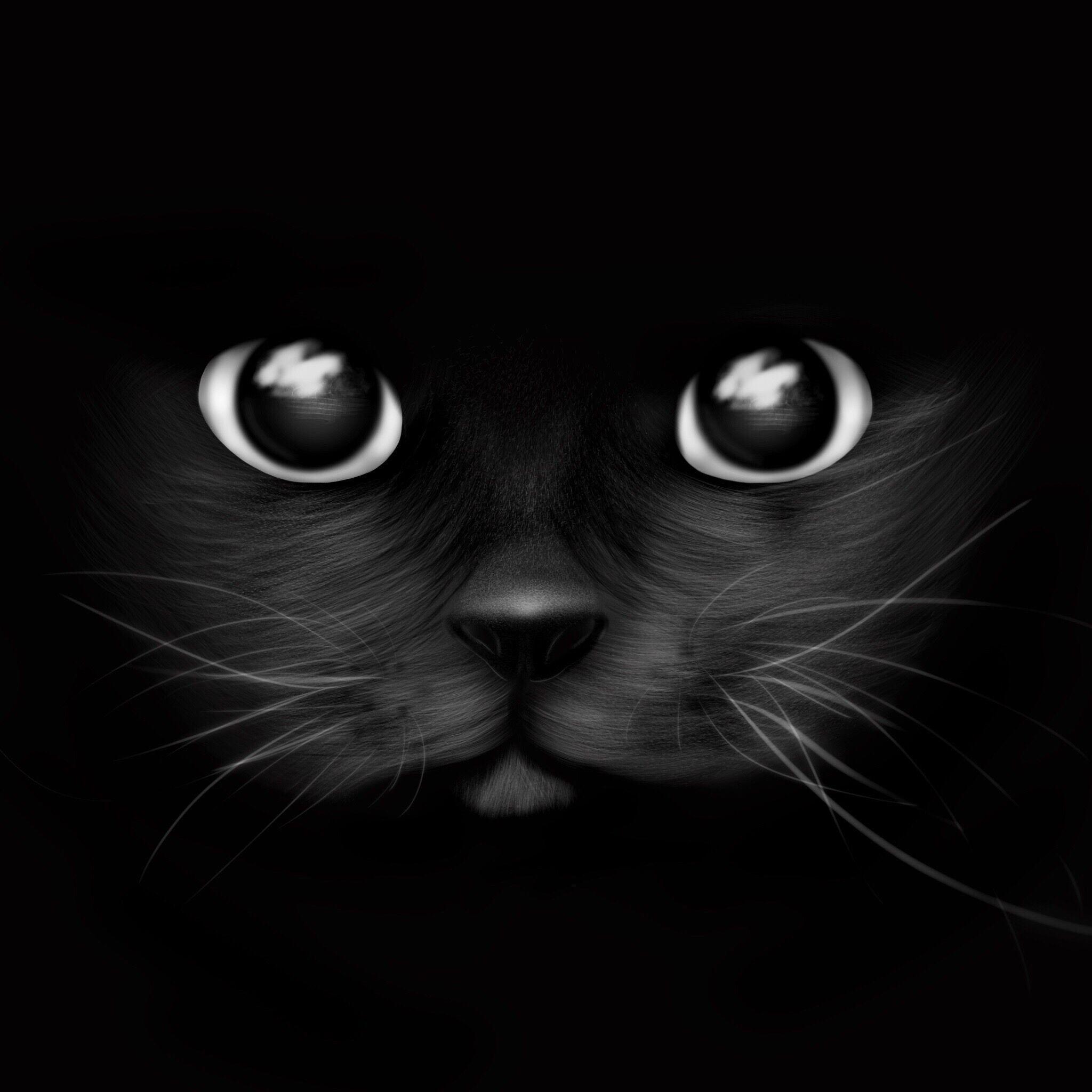 xoxlloma avatar