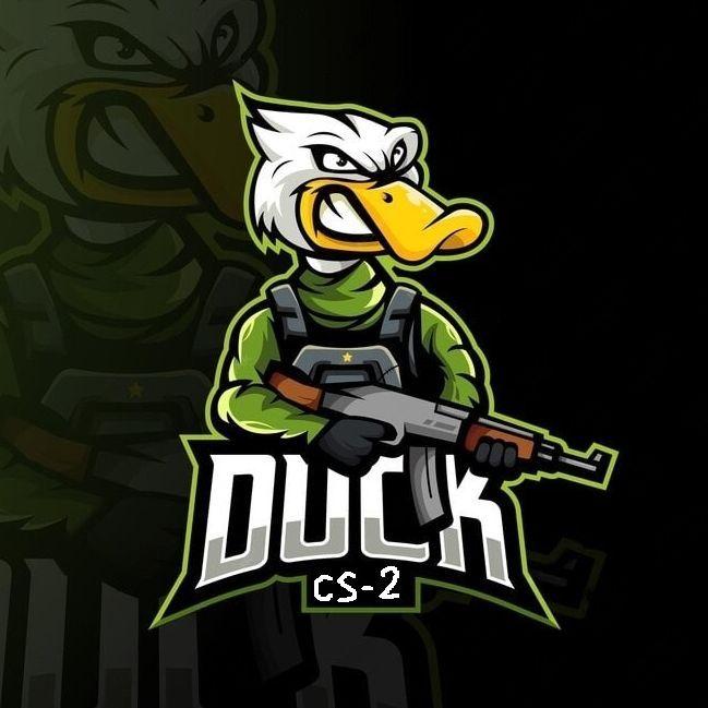 Ducks_YT_2 avatar