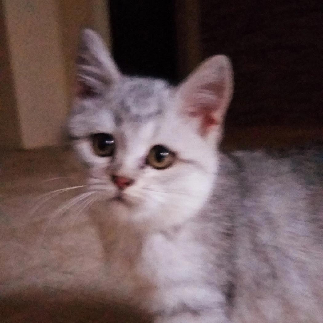 HauBHblu avatar