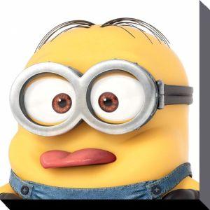 danos_79 avatar