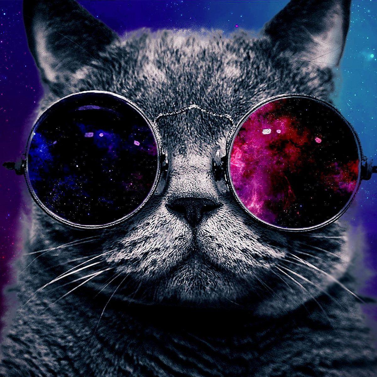 -Fildred- avatar