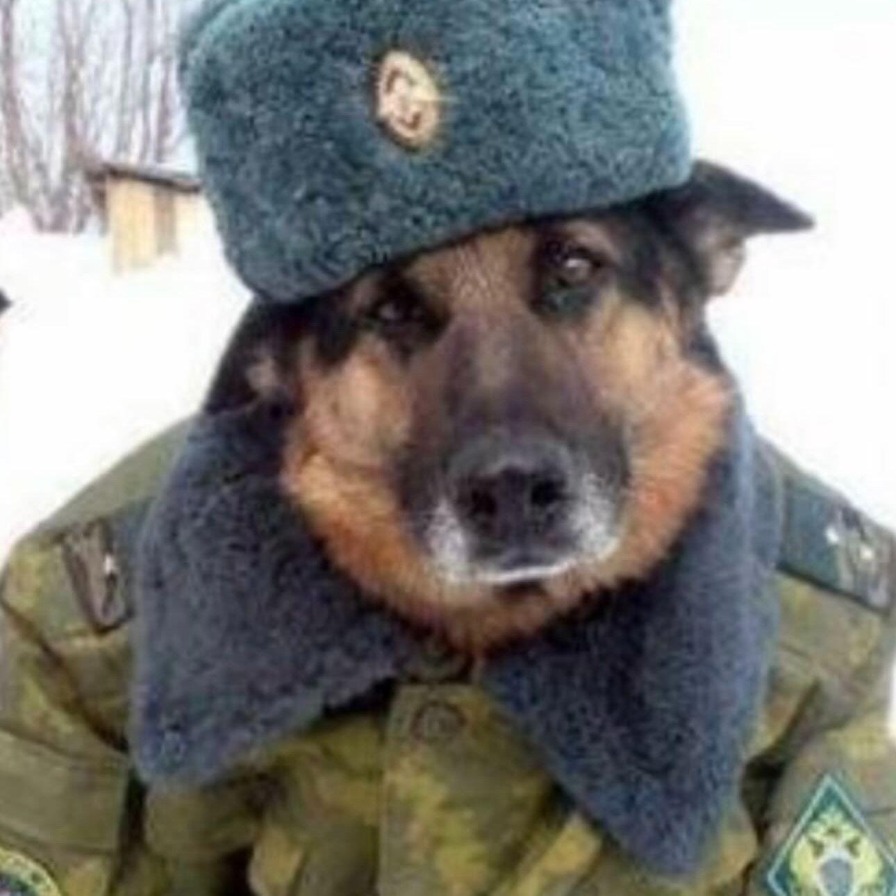 MAKS_NUBAS avatar