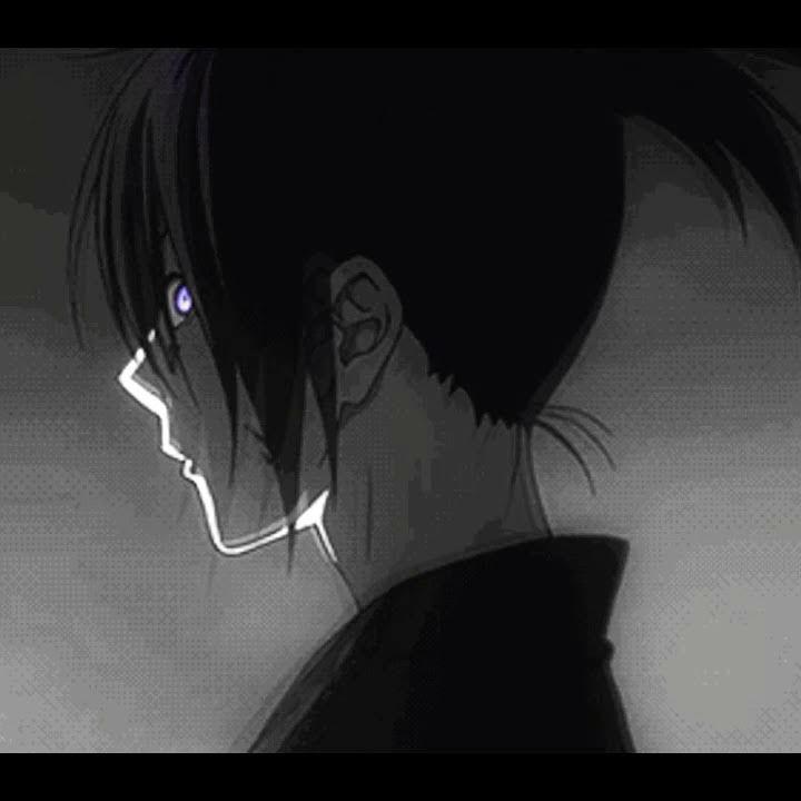 Shirasuka avatar
