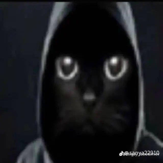 mmr_koshak avatar