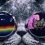 ma1ves22 avatar