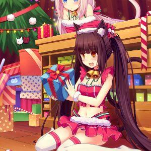 StelRaid avatar