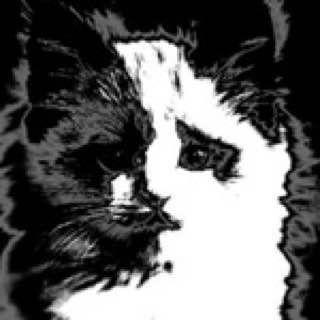 kerumkessss avatar