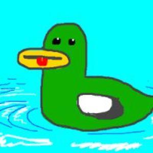 Player Duck--_-- avatar