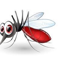 mosquitttt