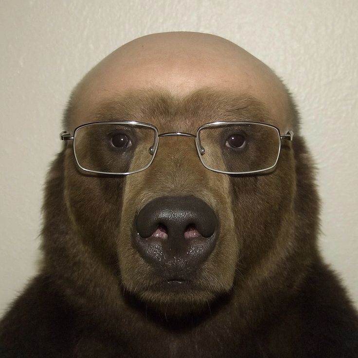 Faryaann FACEIT avatar