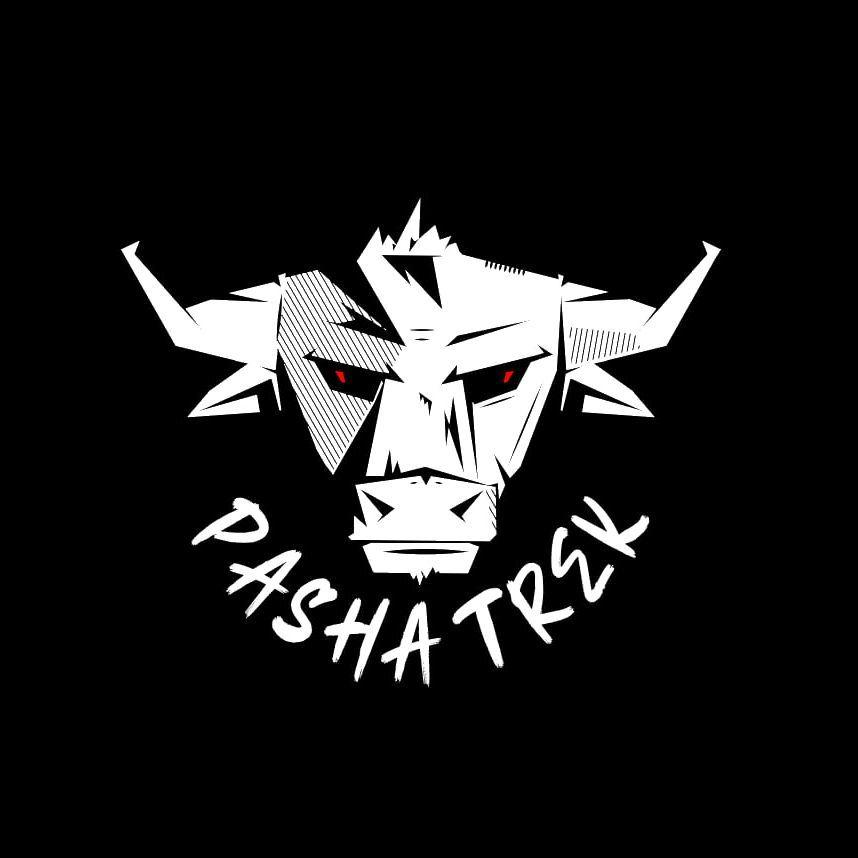 Pasha_Trek avatar