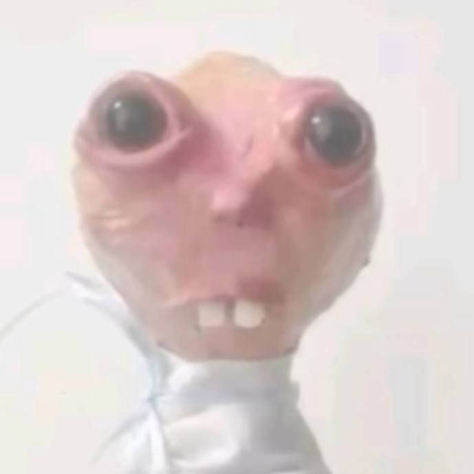 zakonodatel
