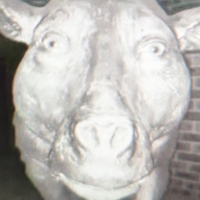 Wurdalak969