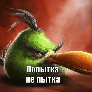 super_zubr17 avatar