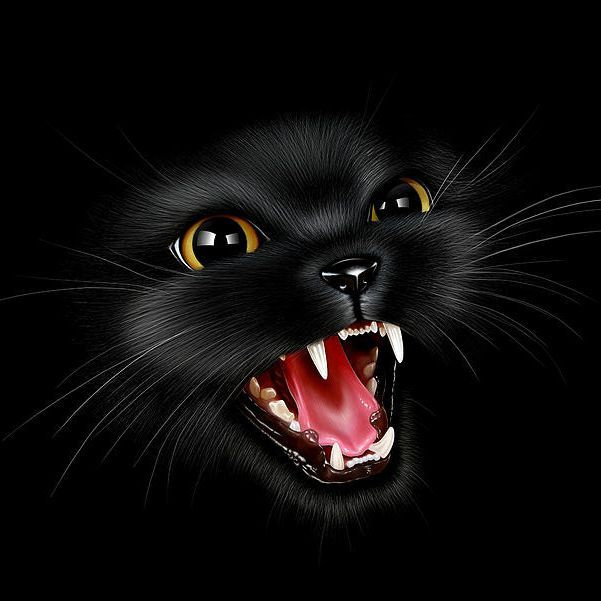 MEOW Cyber Clan