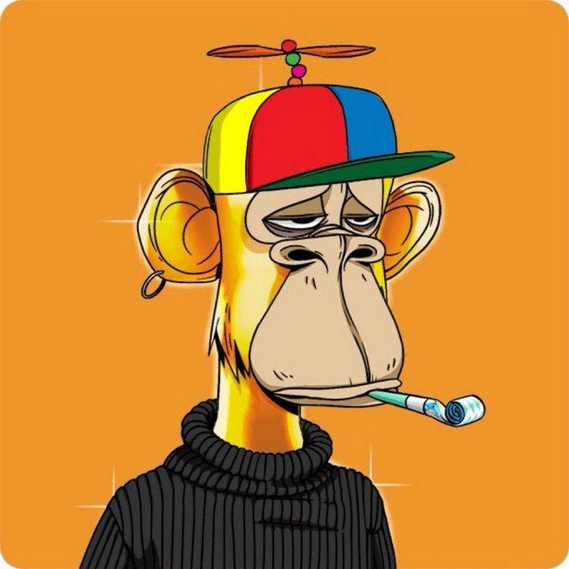 JR_peek avatar