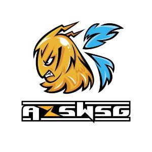 AZS WSG E-sport