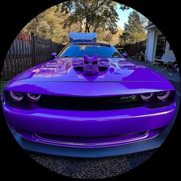 8zevvss8 avatar