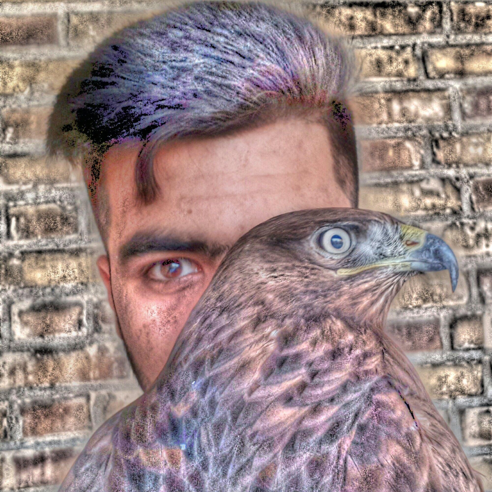 Player MEHRAN_EAGLE avatar