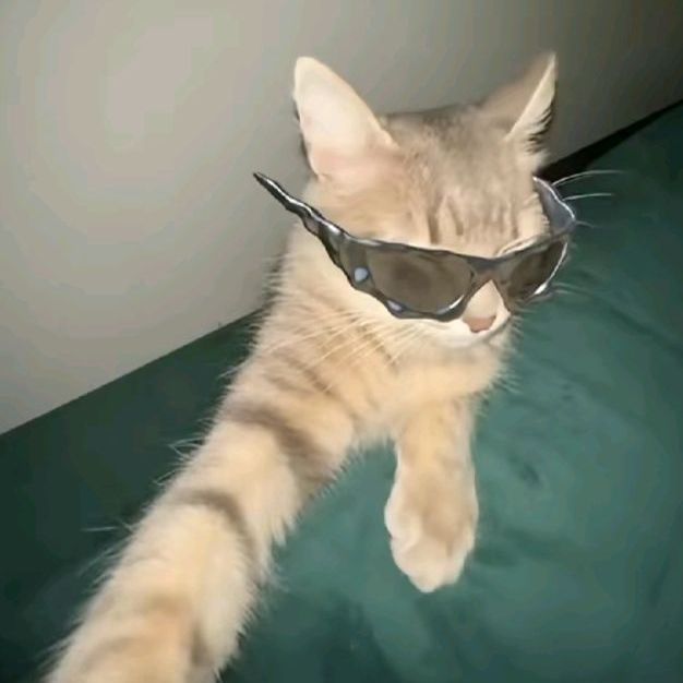 FiaraKY
