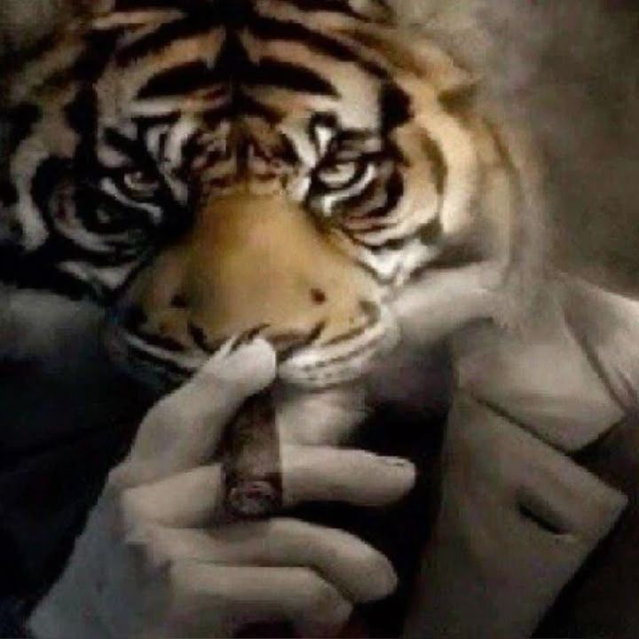 artigu
