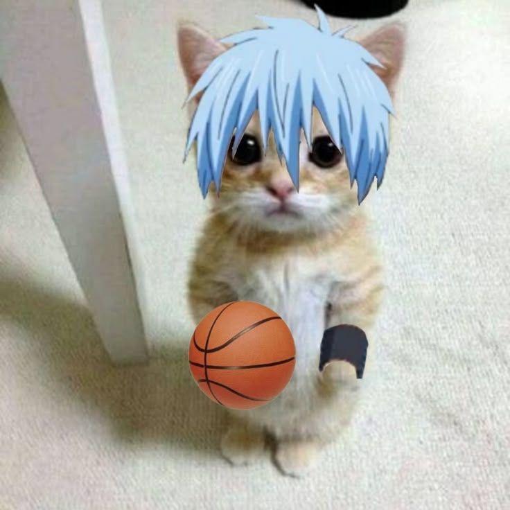 RakuZ avatar