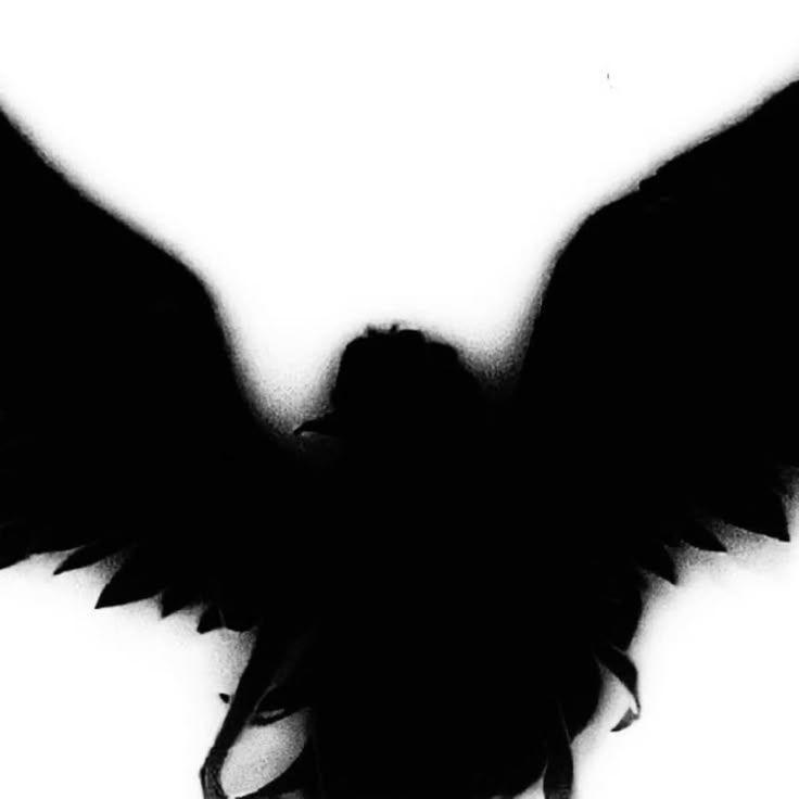 darkkpr1nce avatar
