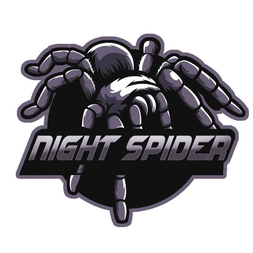 NightSpider