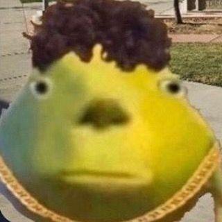 marcelszefie avatar