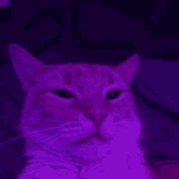 opsv0n avatar