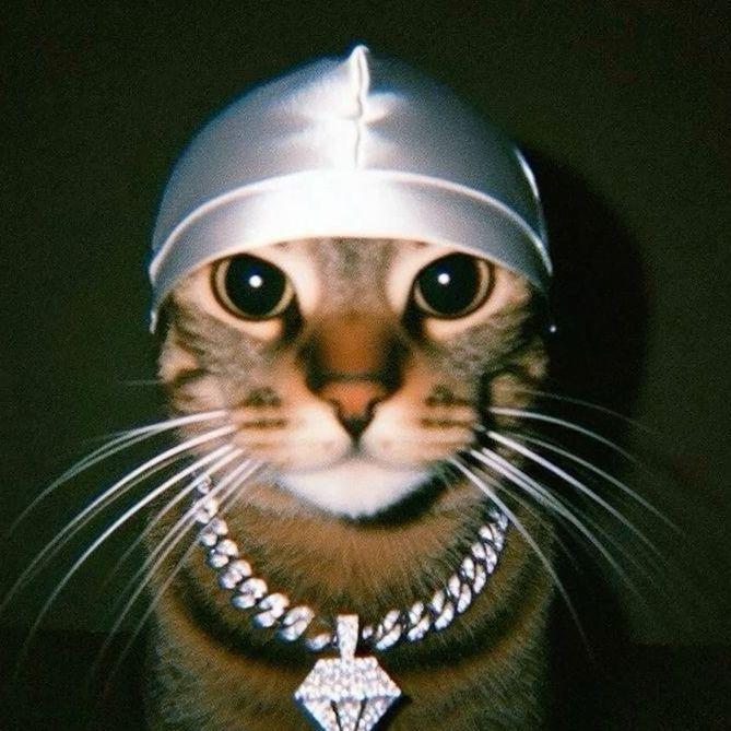 sL1c avatar