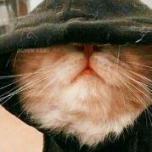 barsik196 avatar