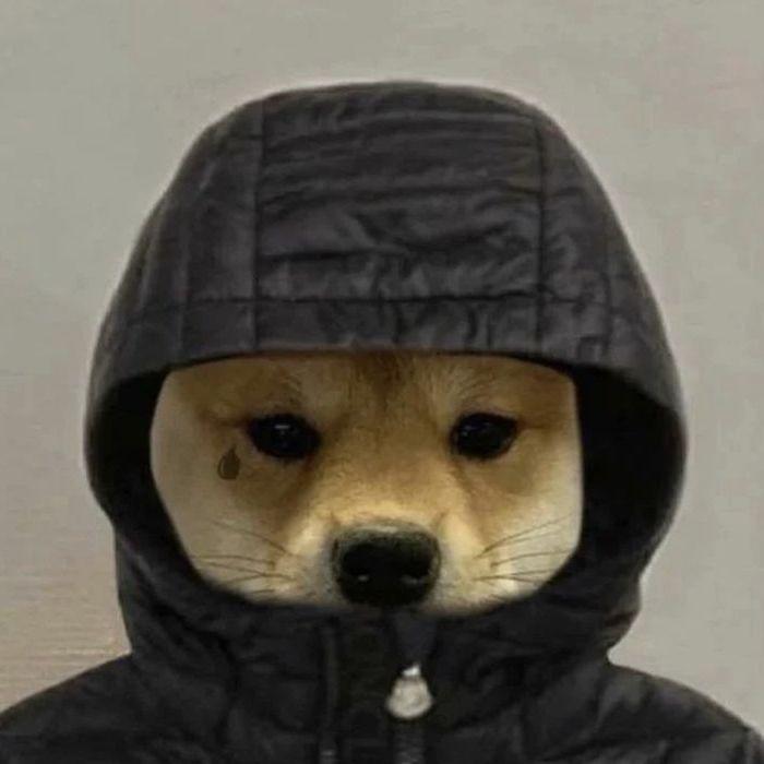 Kamdox avatar