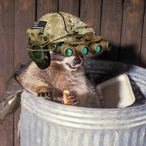 Player TrashPanda15 avatar