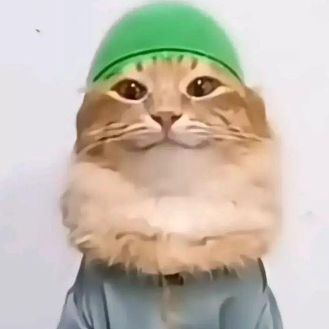 PaZaMeX avatar