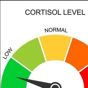 LowC0rtis0l FACEIT avatar