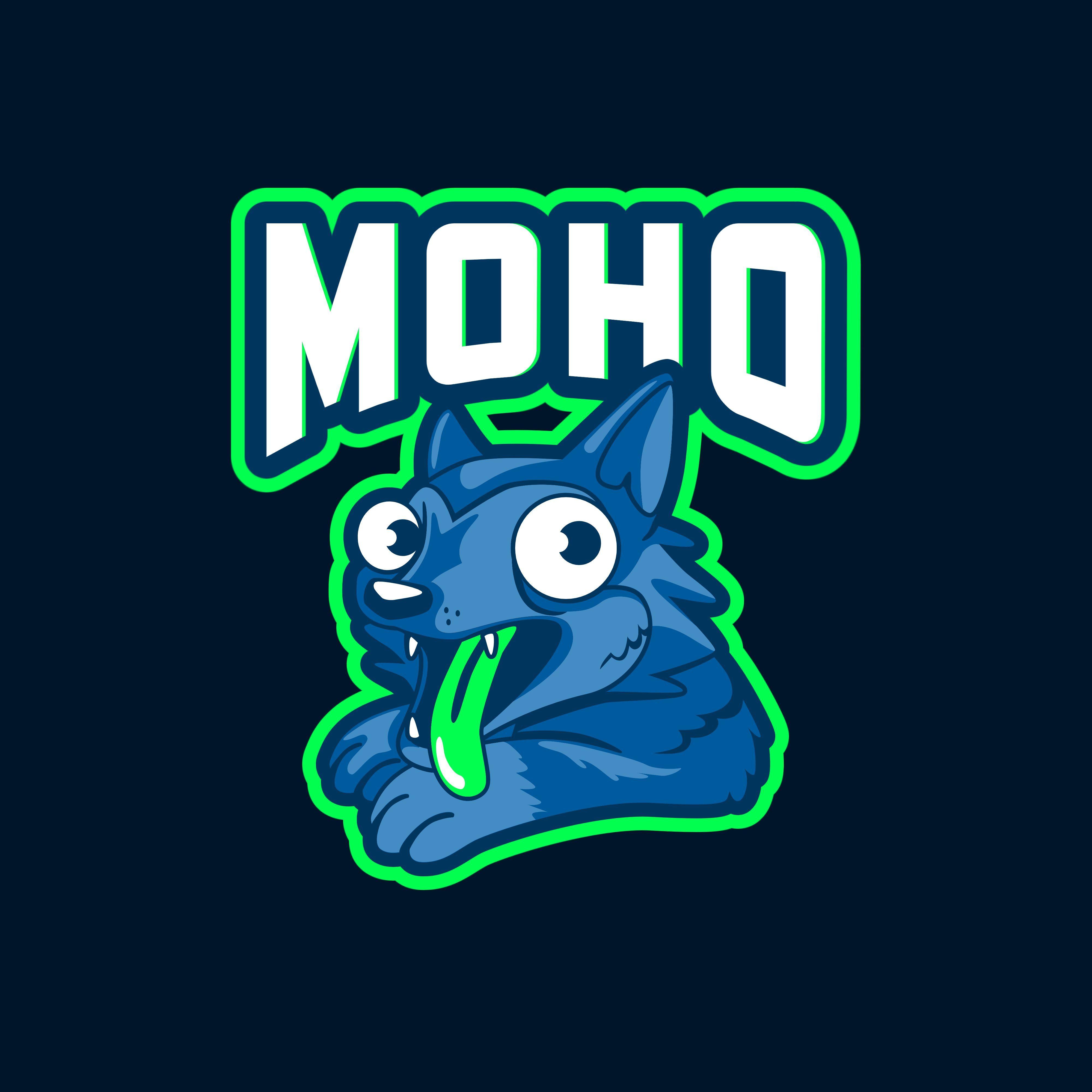 Player -Moho- avatar