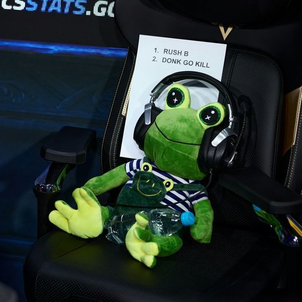 xStaipy FACEIT avatar