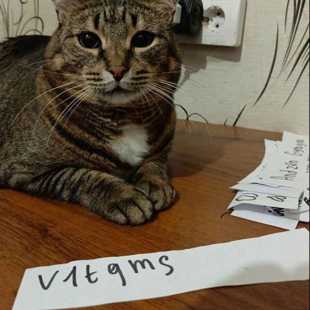 v1tqms