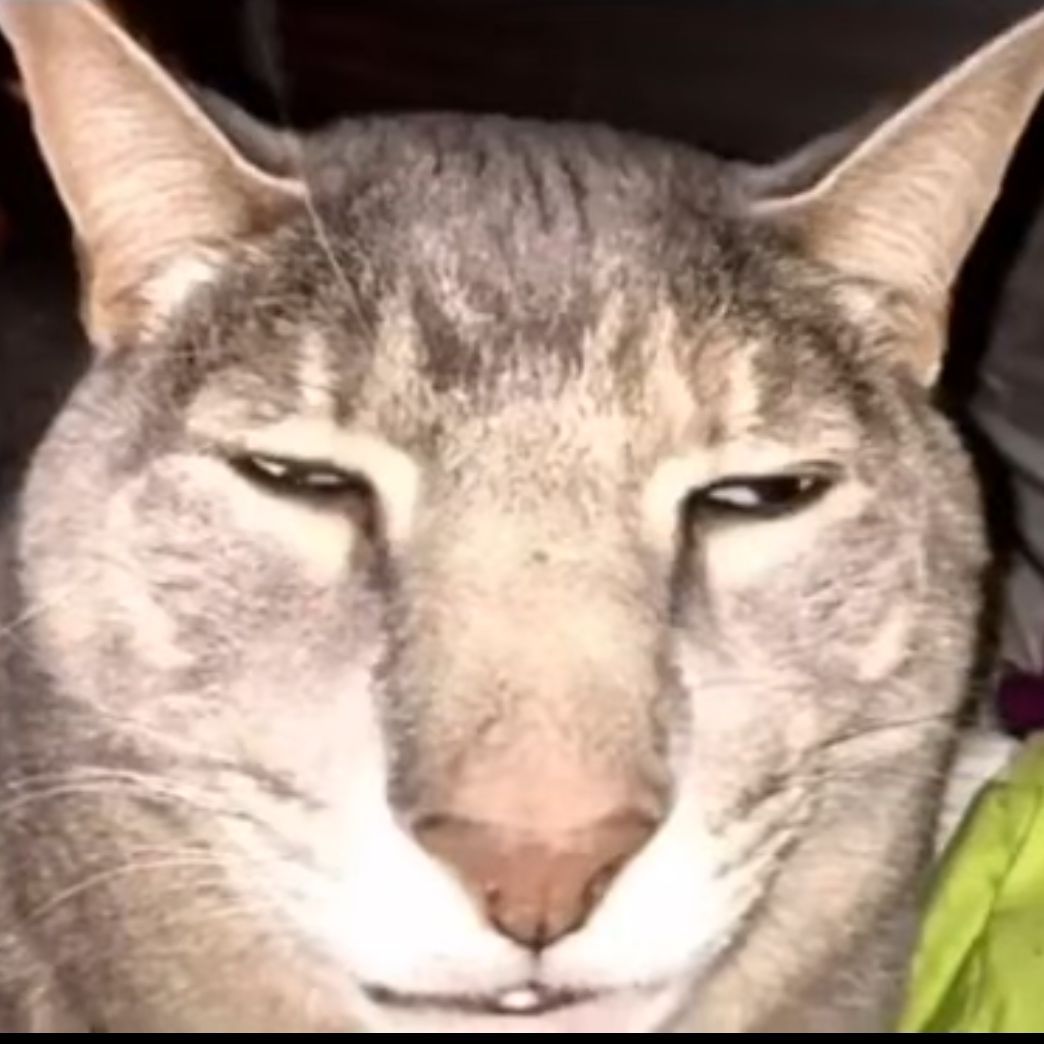 A1i