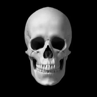 Player skull_opener avatar