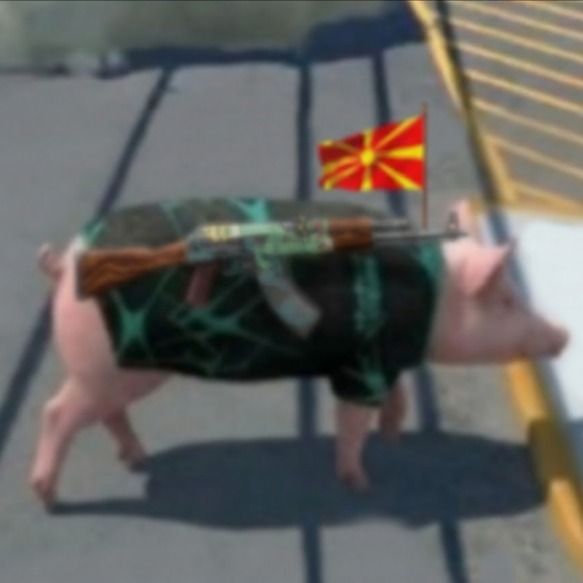 BIackPiggy FACEIT avatar