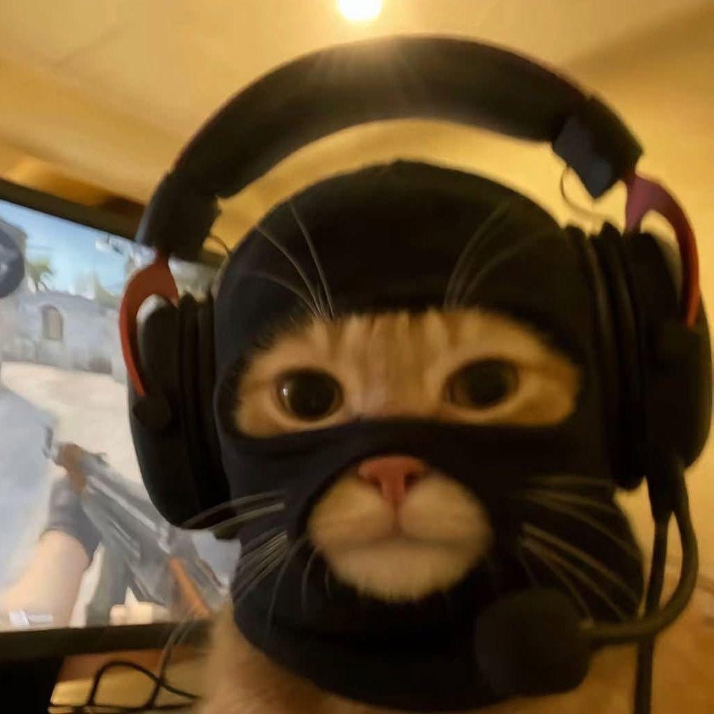 qawodd avatar