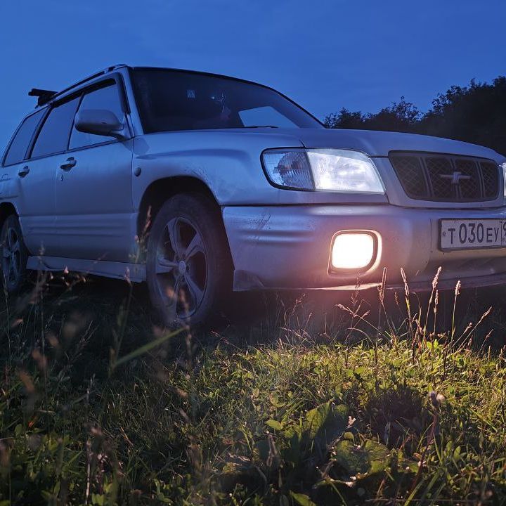 ForesterSF