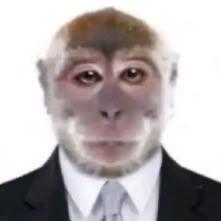 dnk_LUL avatar